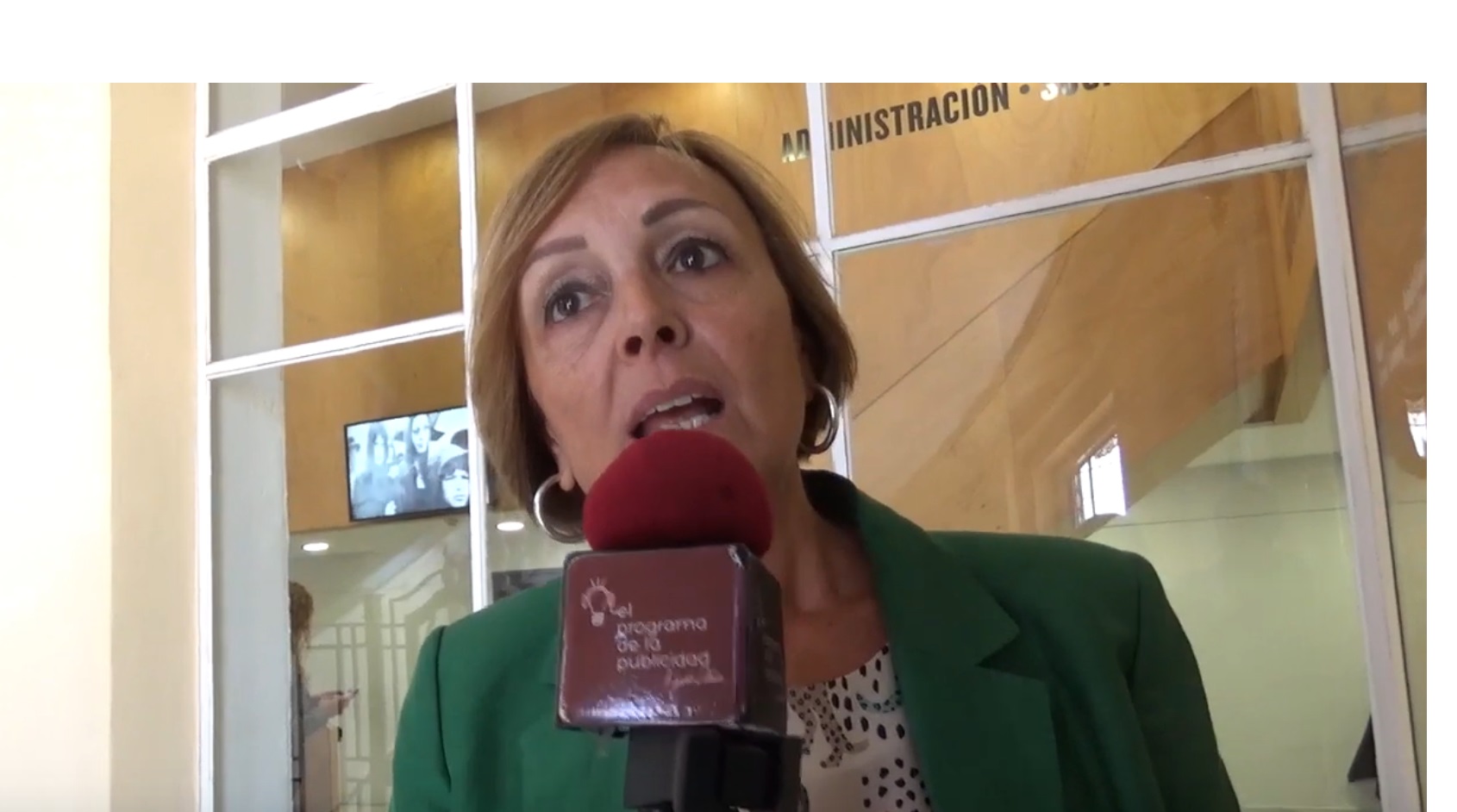 lidia sanz, aea, micro, comision productoras, programapublicidad,