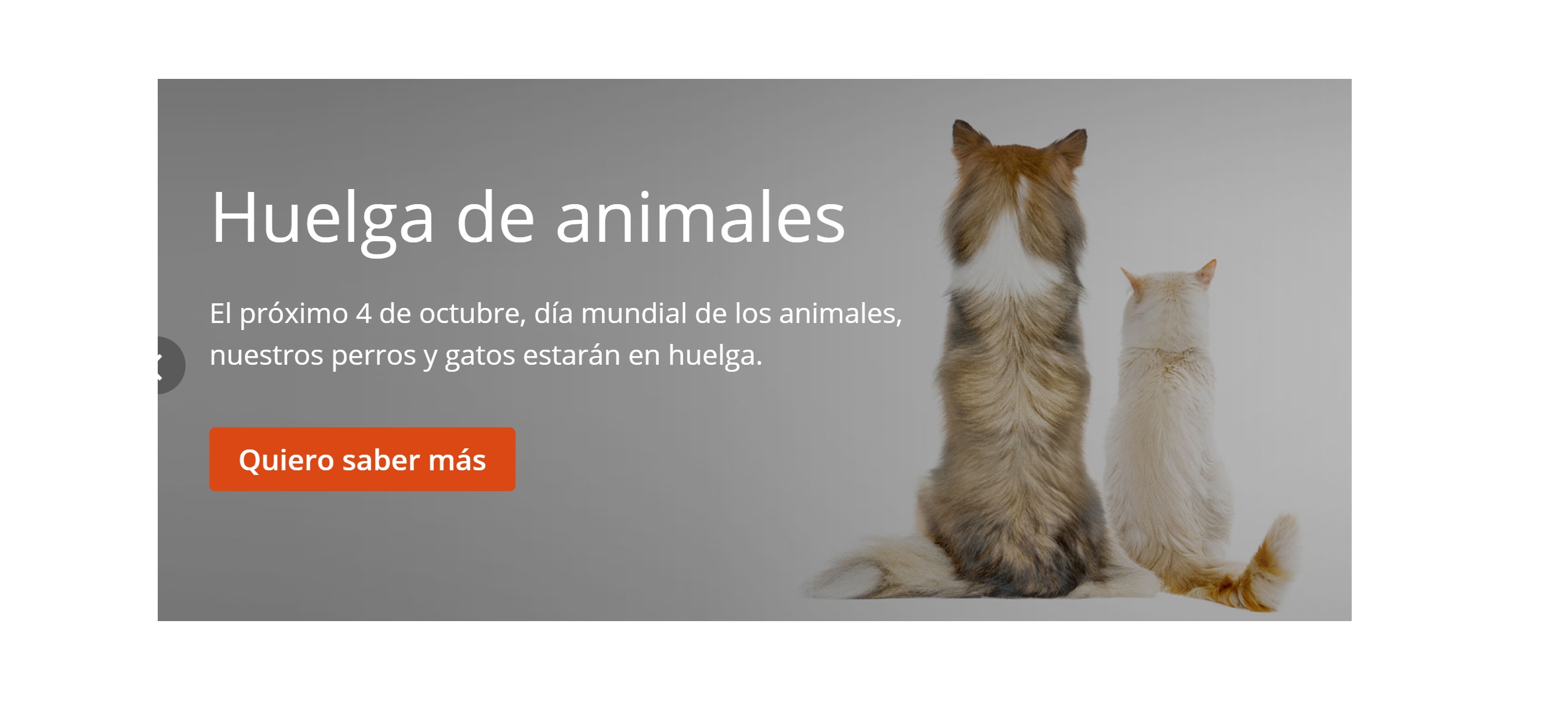 Fundación Affinity , convoca , 1ª #HuelgadeAnimales ,DDB, programapublicidad