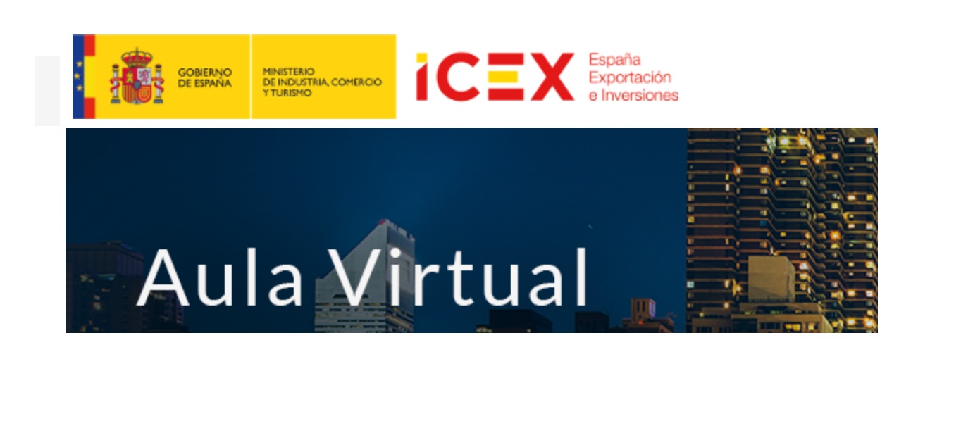 icex, aula virtual, web, programapublicidad