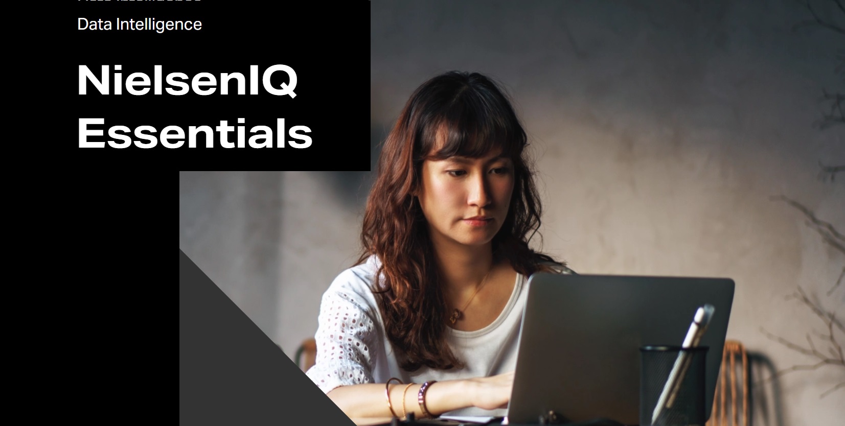 Data Intelligence ,nielsenQ Essentials, programapublicidad