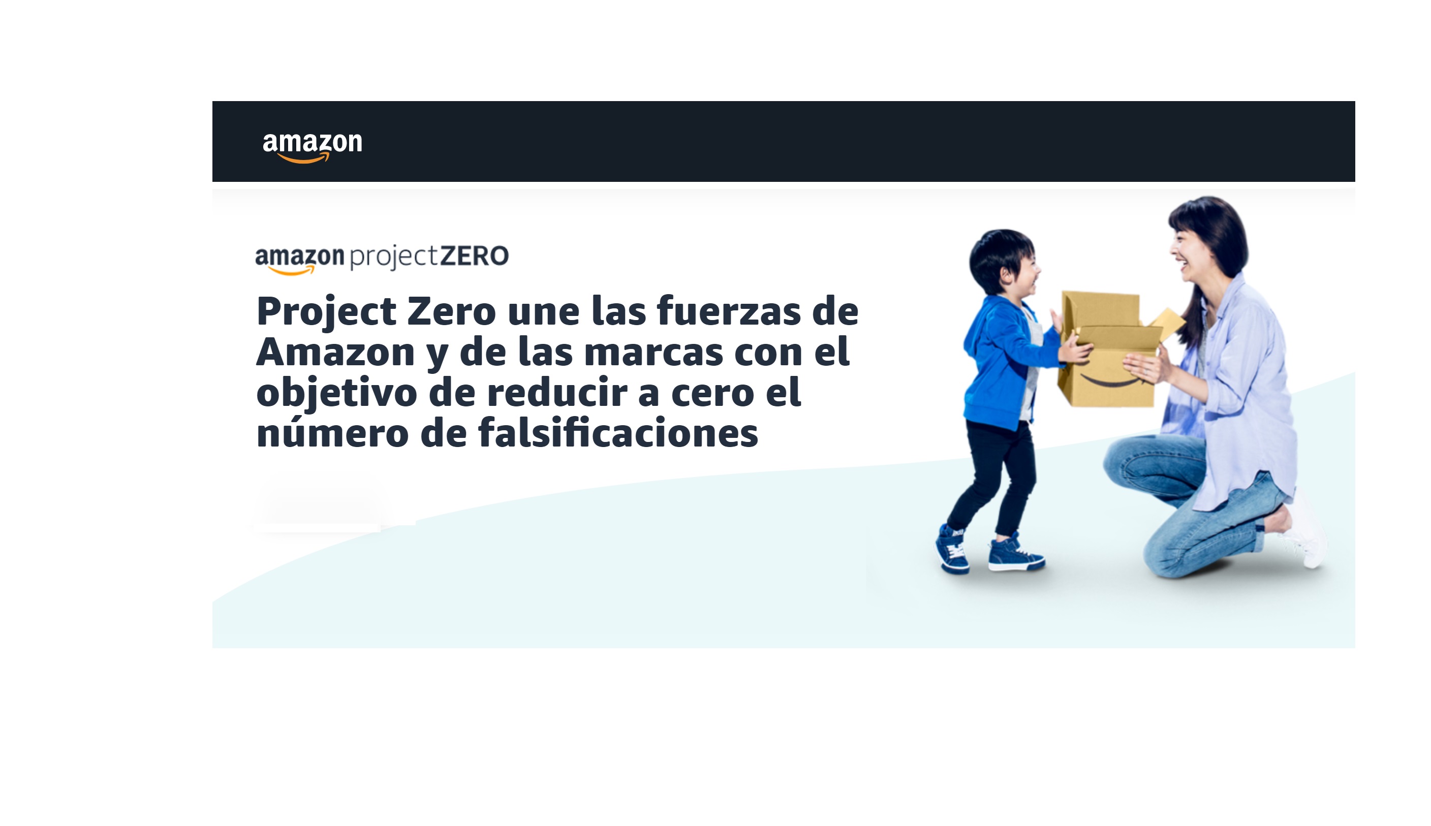 amazon, fraude, zero, falsificaciones, transparencia, programapublicidad